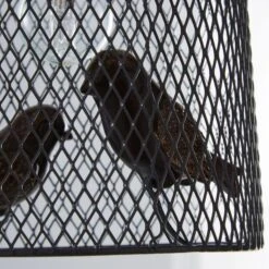 Livry Bird Grey Easy Fit Pendant -Home Lighting 1000111889 alt02