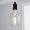 Status Haines Oval Filament Bulb Clear