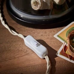 Natural History Museum Table Lamp Clear And Brass -Home Lighting 30803334 alt03