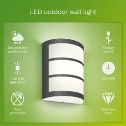 Philips Python Integrated LED Outdoor Wall Light, Cool White -Home Lighting 30838313 alt03