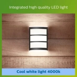 Philips Python Integrated LED Outdoor Wall Light, Cool White -Home Lighting 30838313 alt04