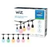 WiZ Connected WiZ 48ft Smart Ambient Outdoor String Lights
