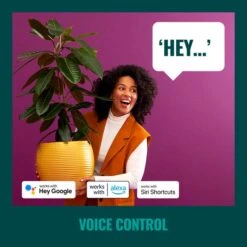 WiZ Connected WiZ 48ft Smart Ambient Outdoor String Lights -Home Lighting 30838383 alt05